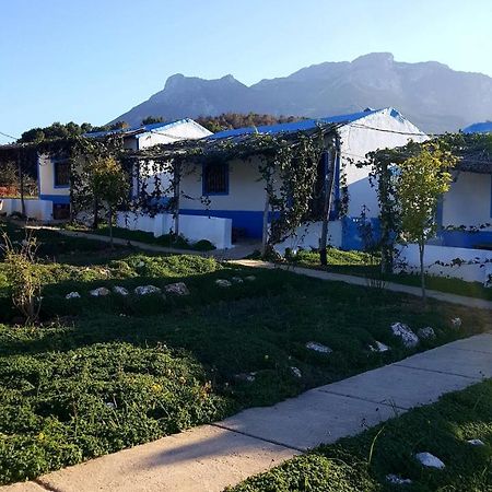 Ferma Jebala Ecolodge Kitane Bagian luar foto