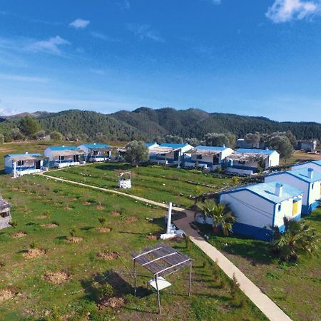 Ferma Jebala Ecolodge Kitane Bagian luar foto