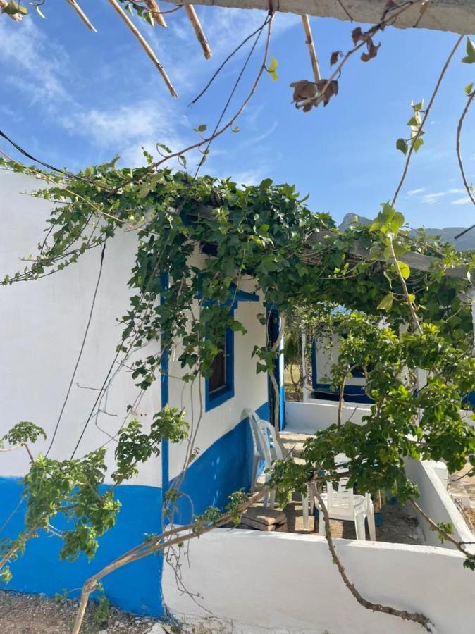 Ferma Jebala Ecolodge Kitane Bagian luar foto