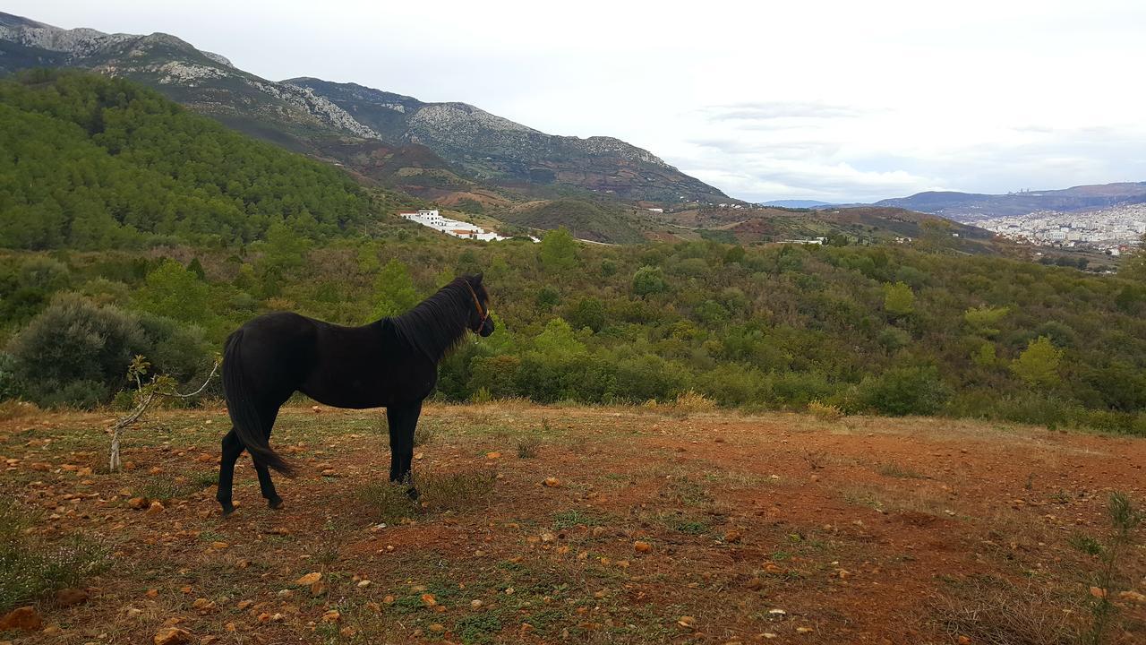Ferma Jebala Ecolodge Kitane Bagian luar foto