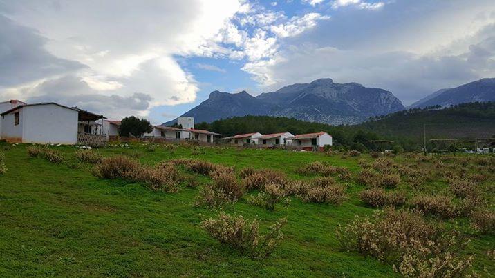 Ferma Jebala Ecolodge Kitane Bagian luar foto