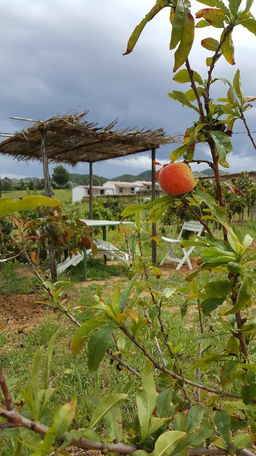 Ferma Jebala Ecolodge Kitane Bagian luar foto