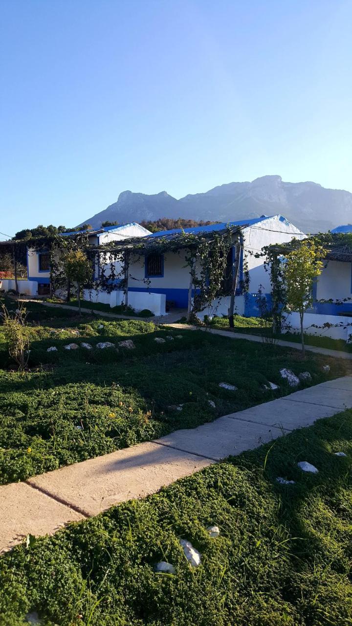 Ferma Jebala Ecolodge Kitane Bagian luar foto