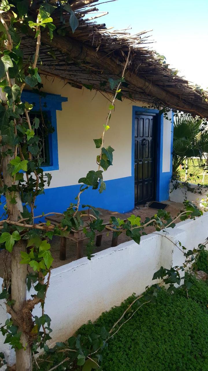 Ferma Jebala Ecolodge Kitane Bagian luar foto