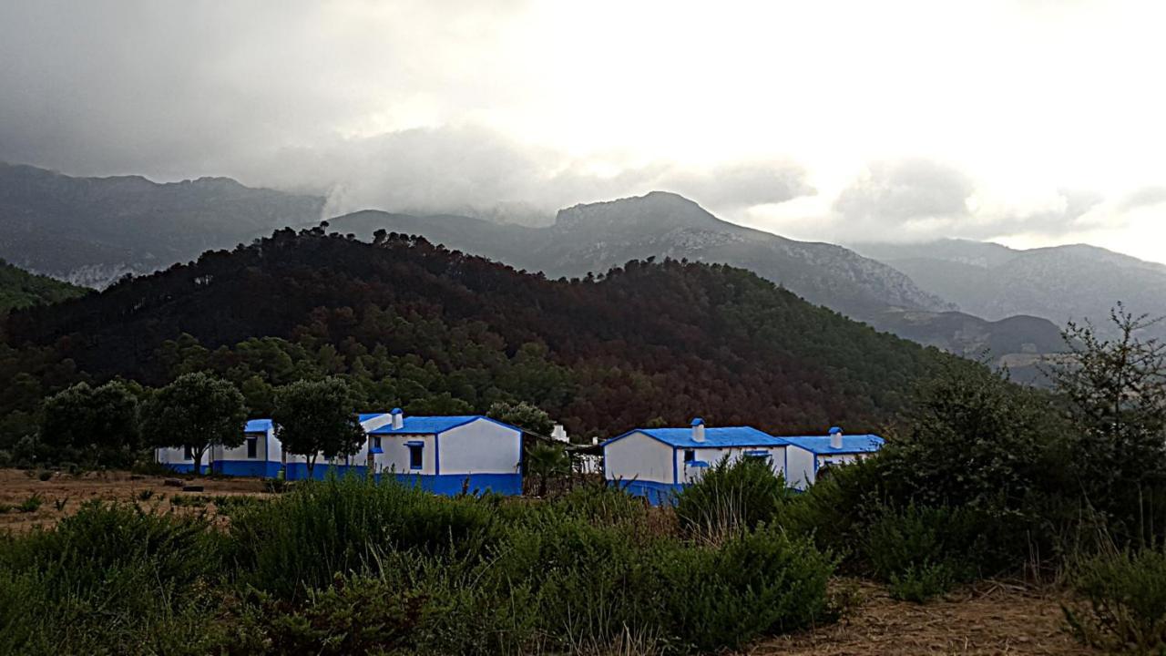 Ferma Jebala Ecolodge Kitane Bagian luar foto